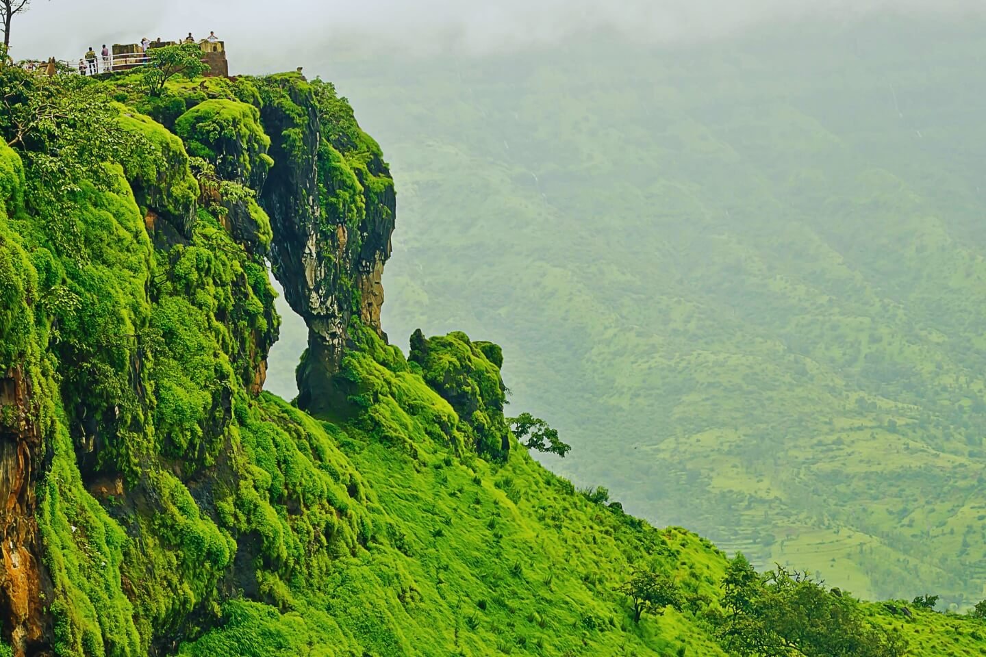 Elephant Point